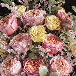 Flower Set 018 Rose Caspian