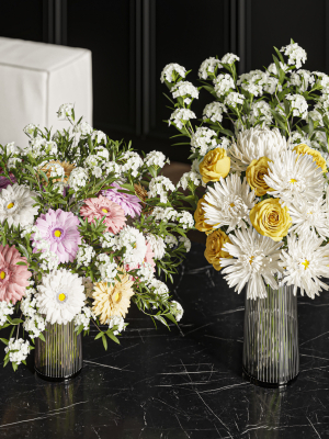 flower-set-021-gerbera-chrysanthemum-3d-model-40818dedda