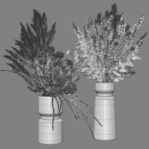 Flower Set 025 Pampas
