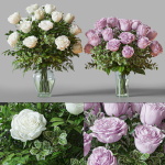 Flower Set 029 White and pink Rose