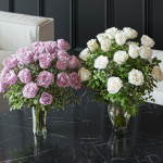 Flower Set 029 White and pink Rose