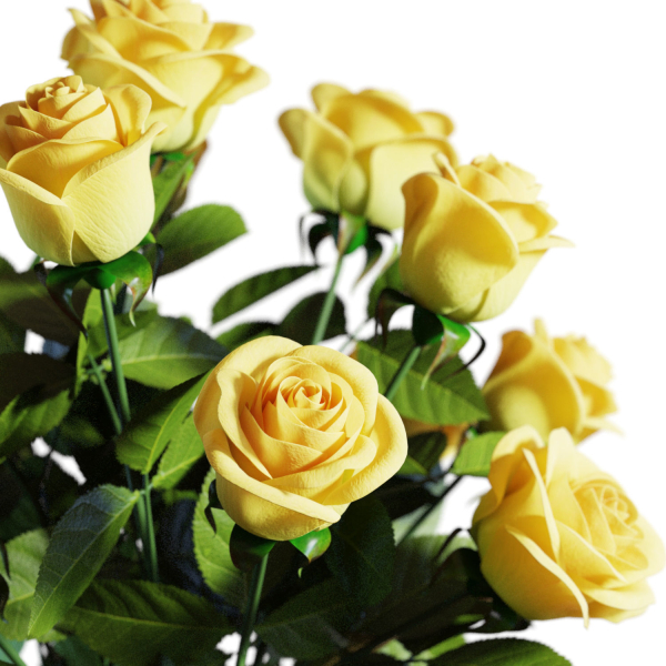Flower Set 05 - Yellow Roses Bouquet