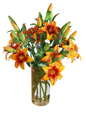 flower-set-13-orange-lilies-bouquet-3d-model-max-obj-fbx