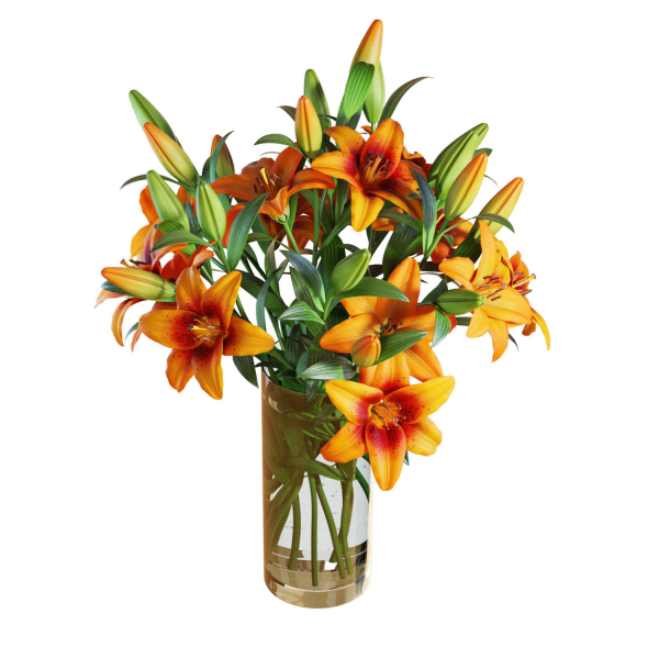 Flower Set 13 - Orange Lilies Bouquet