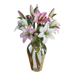 Flower Set 15 - Pink and White Lilies Bouquet