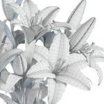 Flower Set 15 - Pink and White Lilies Bouquet