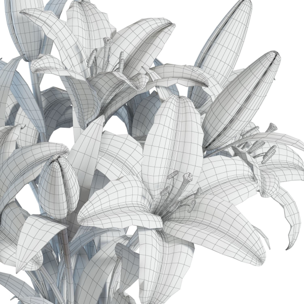 Flower Set 15 - Pink and White Lilies Bouquet
