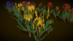 Flower Swainsona Formosa