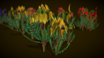 Flower Swainsona Formosa