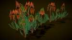 Flower Swainsona Formosa
