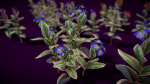 Flower Tradescantia Nanouk
