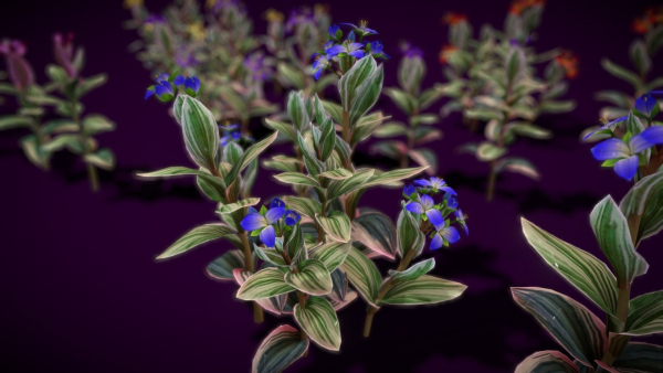 Flower Tradescantia Nanouk