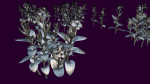 Flower Tradescantia Nanouk