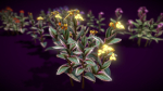 Flower Tradescantia Nanouk