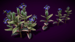 Flower Tradescantia Nanouk