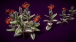 Flower Tradescantia Nanouk