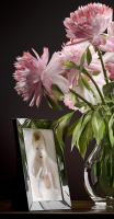 Flower Vase Set