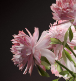 Flower Vase Set
