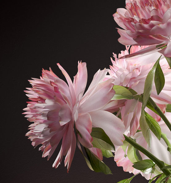 Flower Vase Set