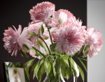 Flower Vase Set
