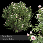 Flowering bush pack 01