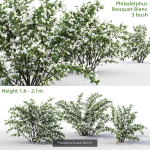 Flowering bush pack 01