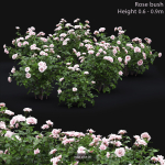 Flowering bush pack 01