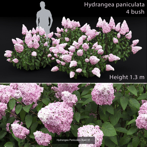 Flowering bush pack 01