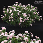 Flowering bush pack 01