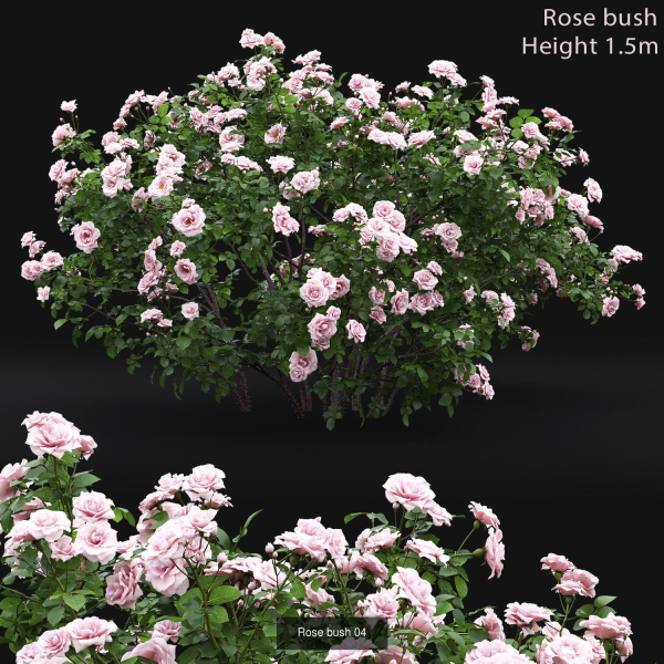 Flowering bush pack 01
