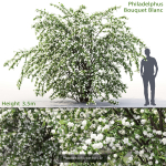 Flowering bush pack 01