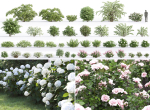 Flowering bush pack 01