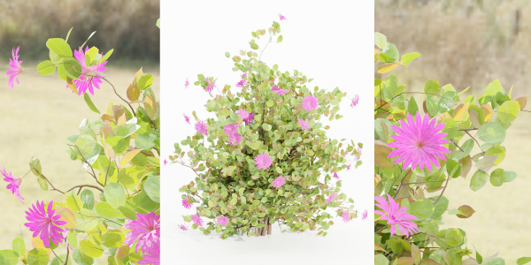 Flowering Bushes collection vol 108-Blender