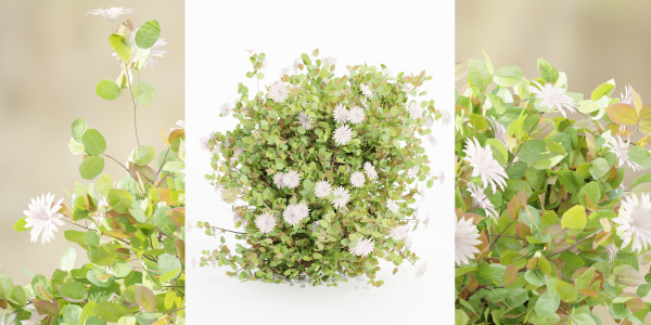 Flowering Bushes collection vol 108-Blender