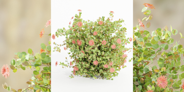 Flowering Bushes collection vol 108-Blender