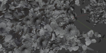 Flowering Bushes collection vol 108-Blender