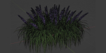 flowering bushes vol 31-Blender