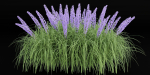 flowering bushes vol 31-Blender