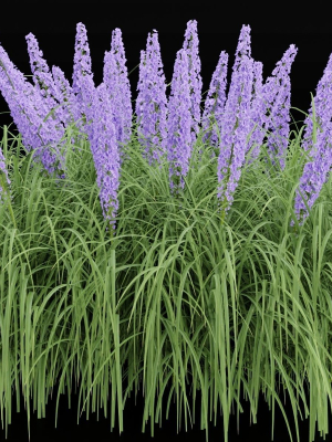 flowering bushes vol 31-Blender