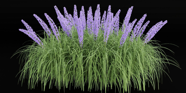 flowering bushes vol 31-Blender