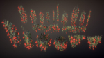 Flowering ivy