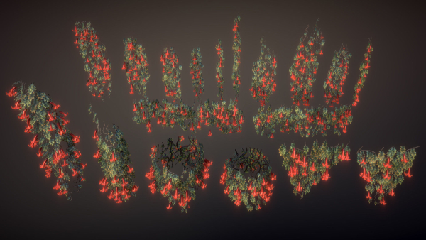 Flowering ivy