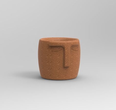 flowerpot face
