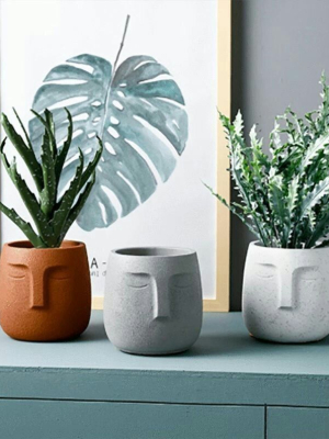 flowerpot face