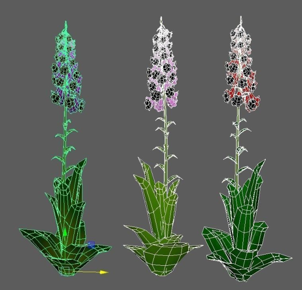 Flowers