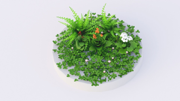Flowers