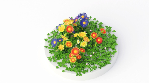 Flowers