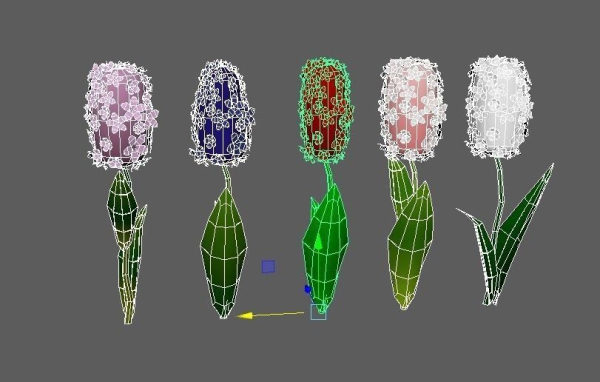 Flowers