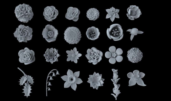 flowers