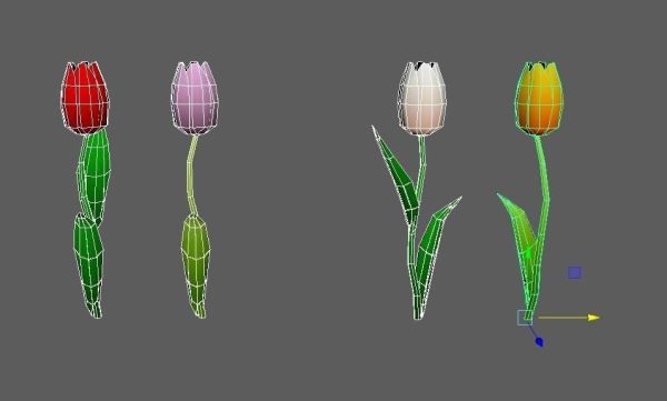 Flowers